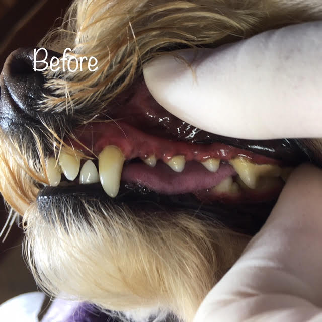 Before Before