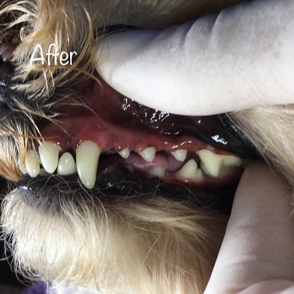 After After