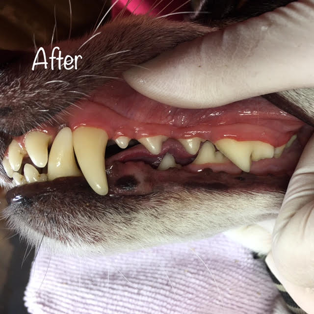 After After