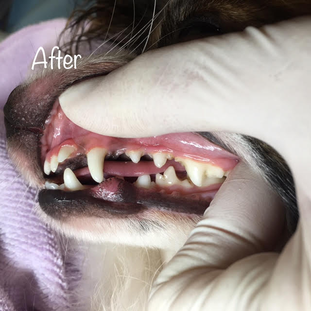 After After