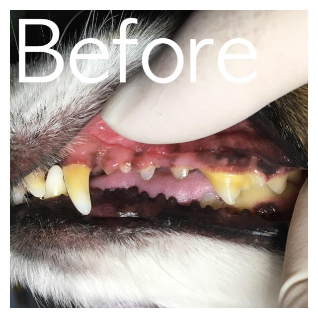 Before Before