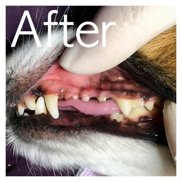 After After