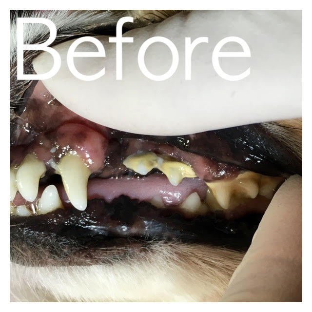 Before Before