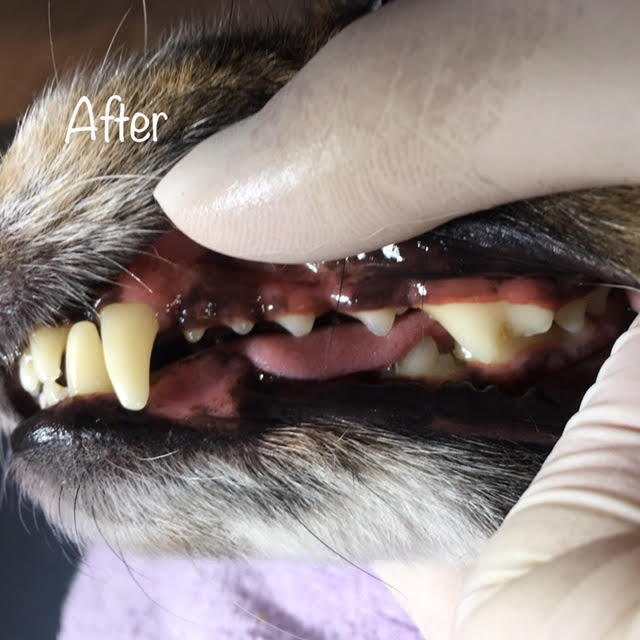 After After