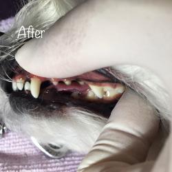 After After