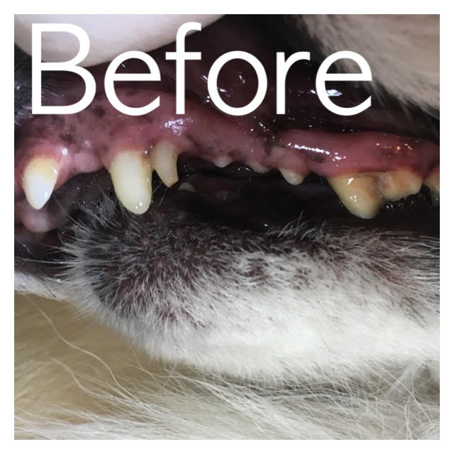 Before Before