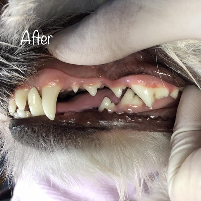 After After