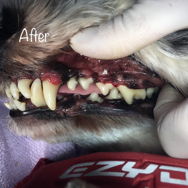 After After