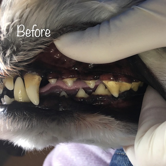 Before Before