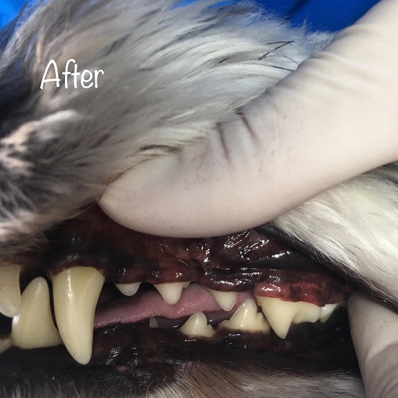 After After