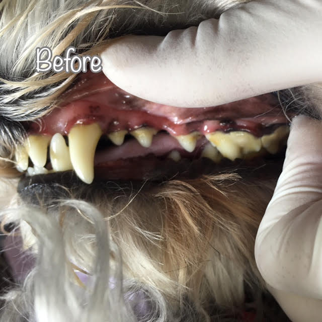 Before Before