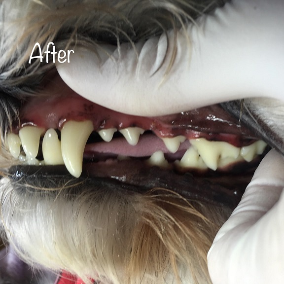 After After