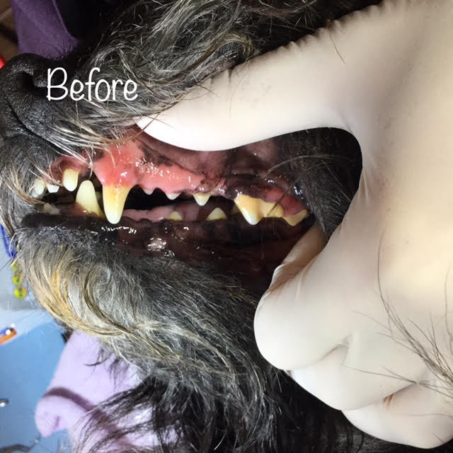 Before Before