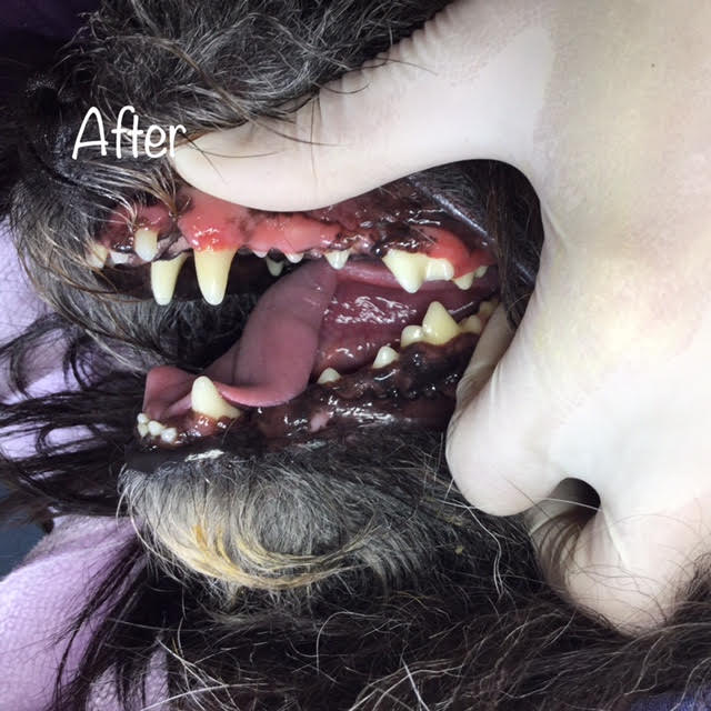 After After