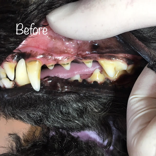 Before Before