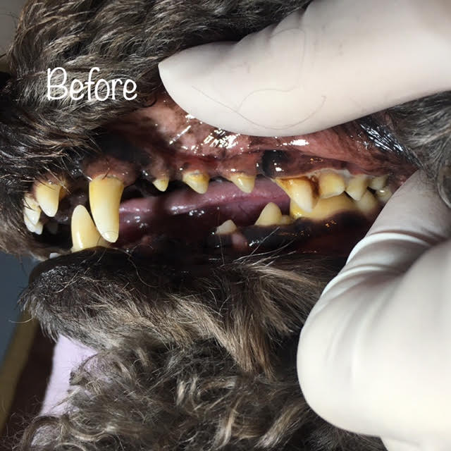Before Before