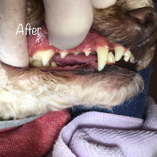 After After