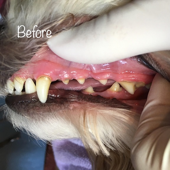 Before Before
