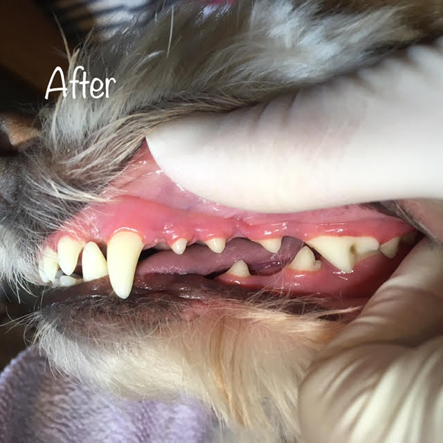 After After