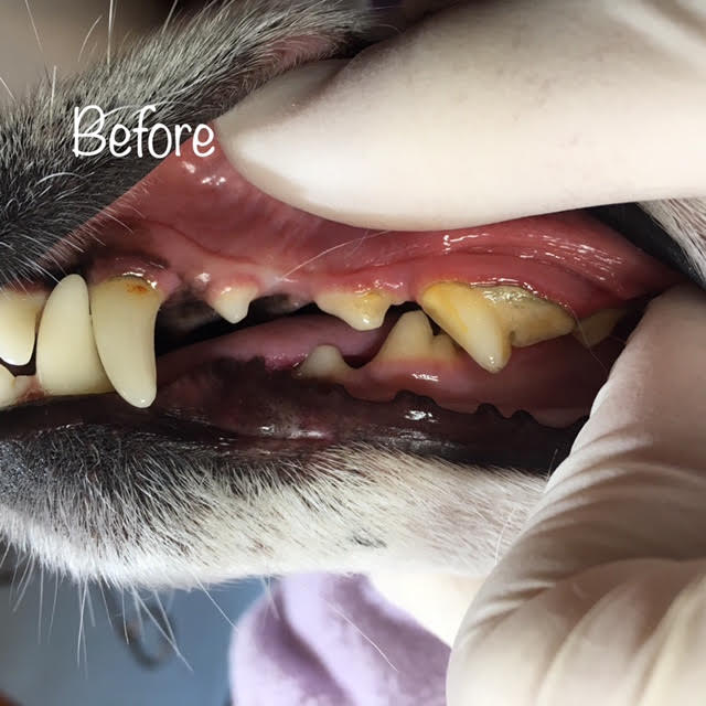 Before Before
