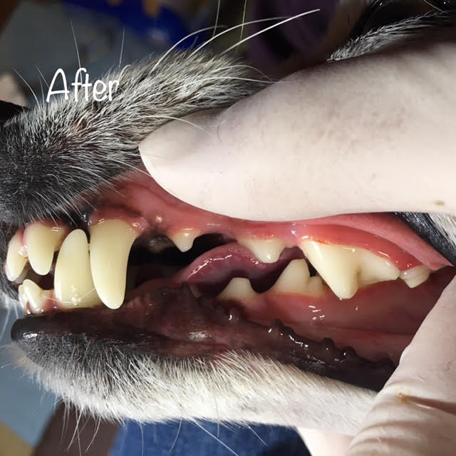 After After