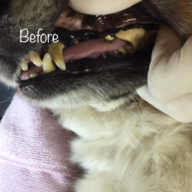 Before Before