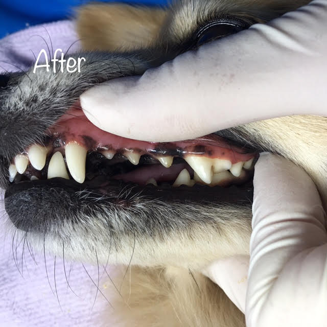 After After