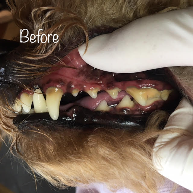 Before Before