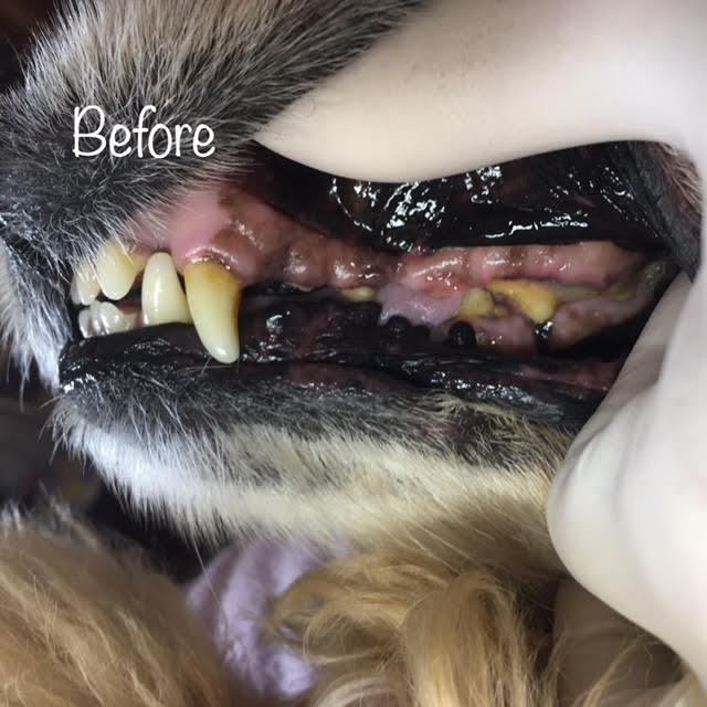Before Before