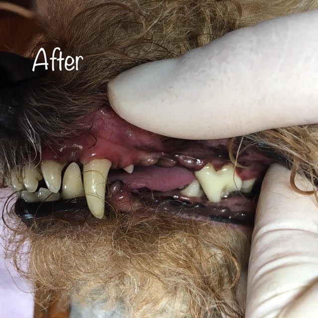 After After