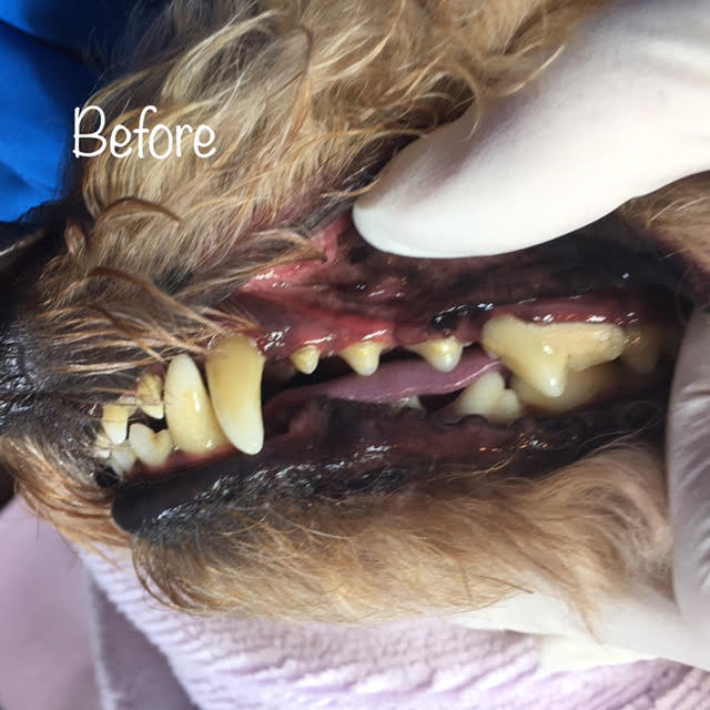 Before Before