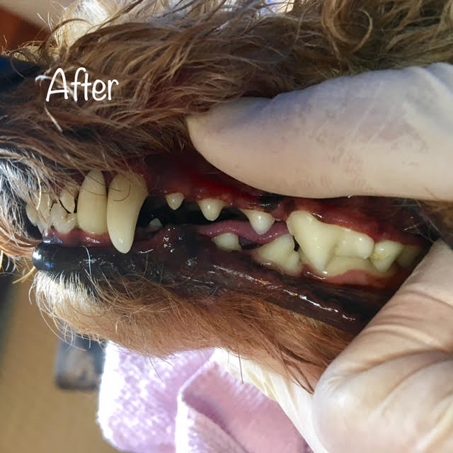 After After