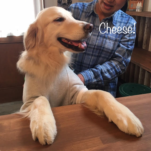 Cheese Cheese