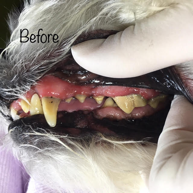 Before Before