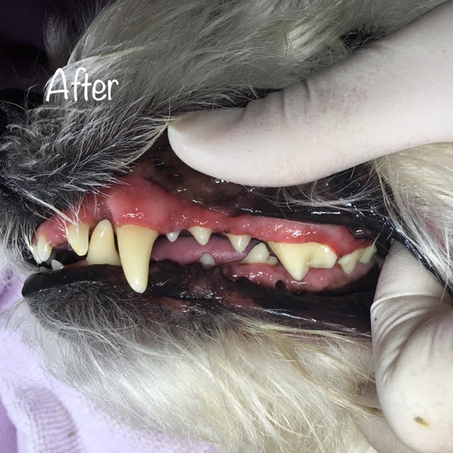 After After