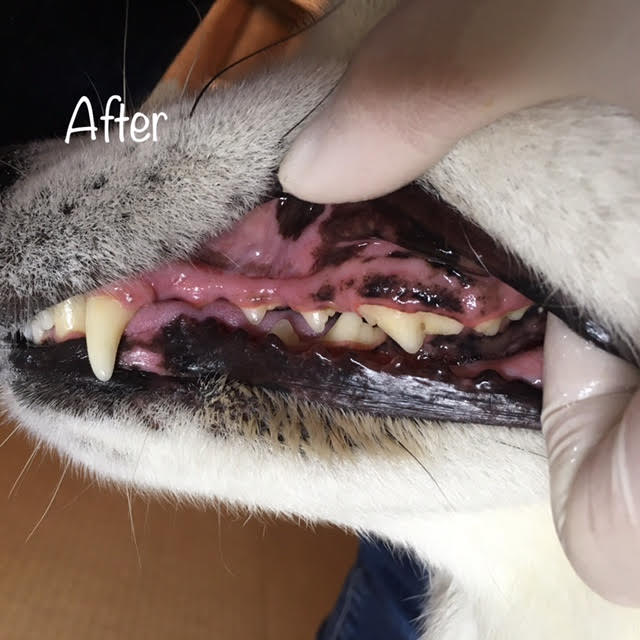 After After