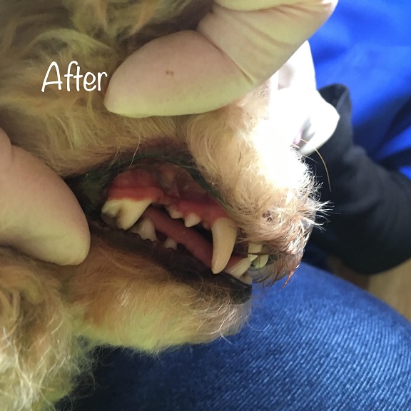 After After