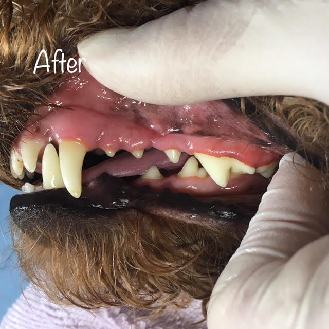 After After