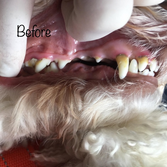 Before Before