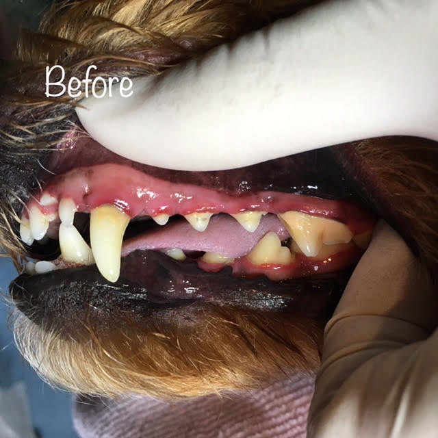 Before Before