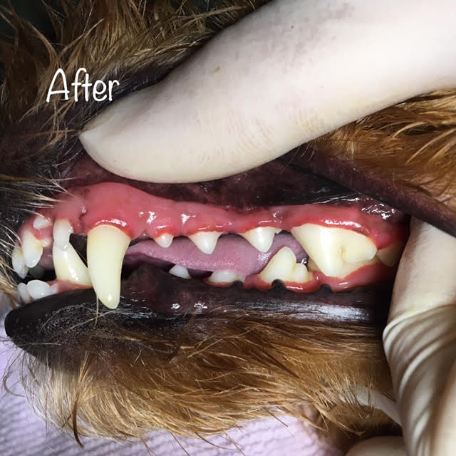 After After