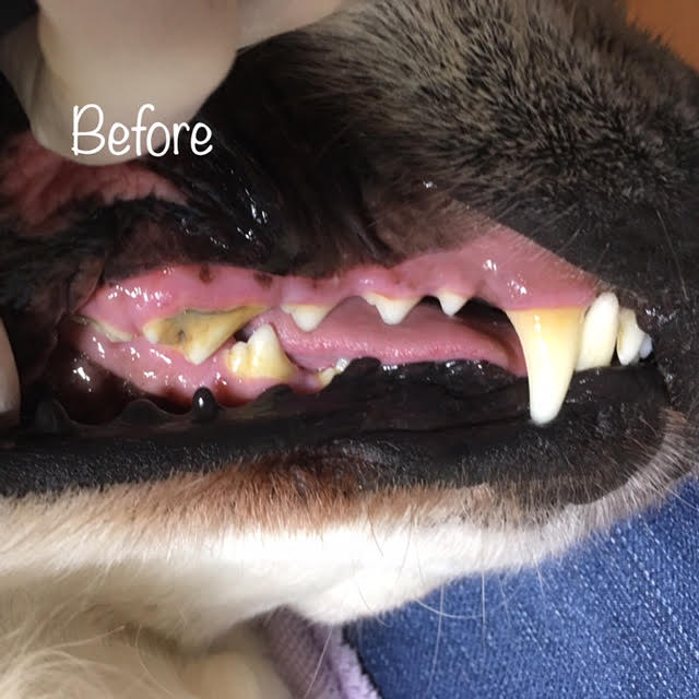 Before Before