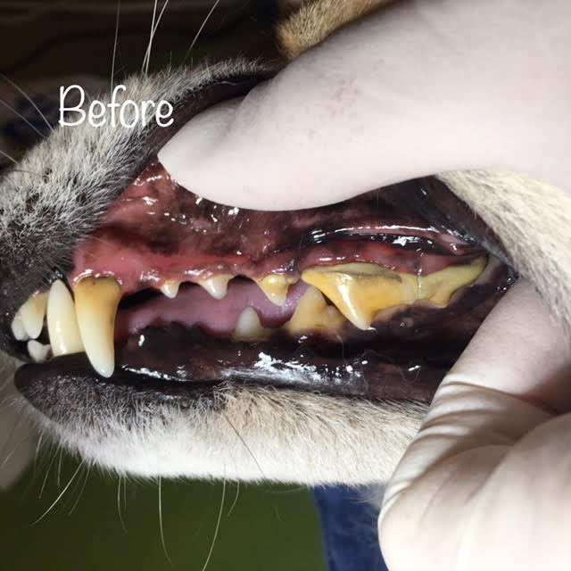 Before Before