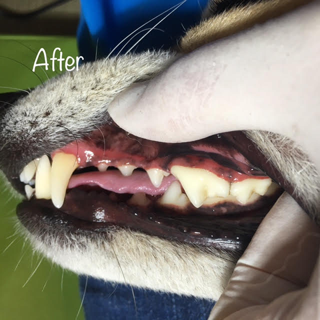 After After