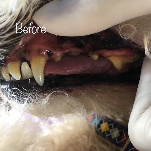 Before Before