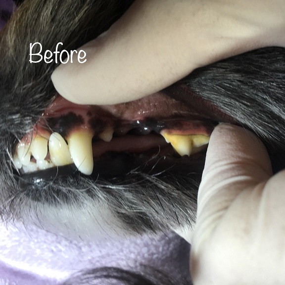 Before Before