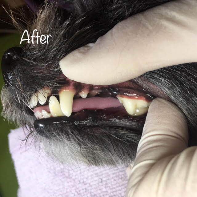 After After