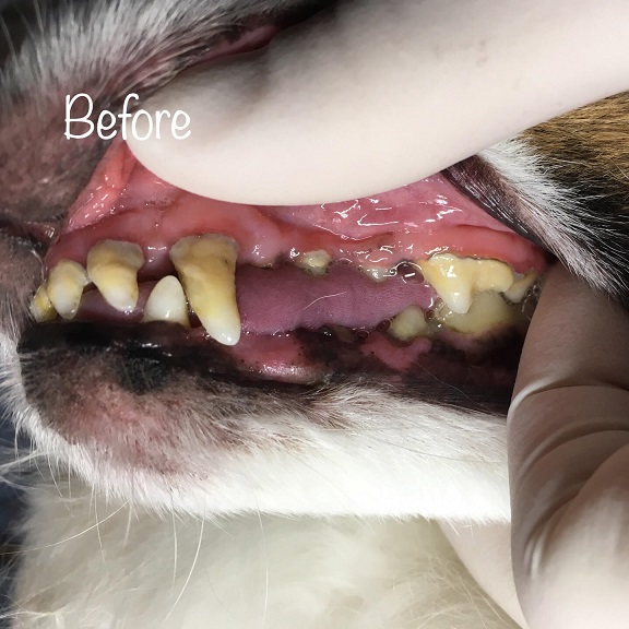 Before Before