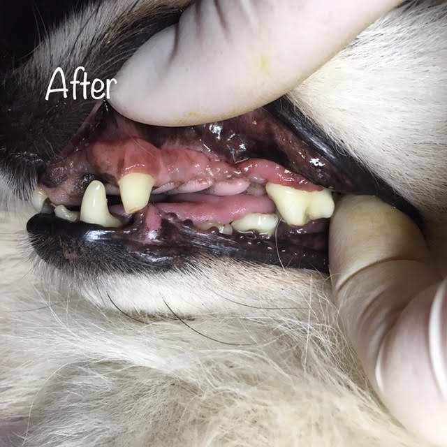 After After