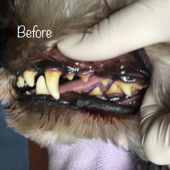 Before Before